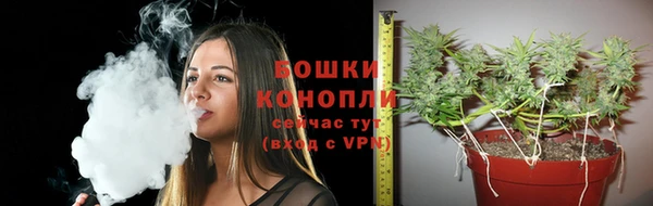 таблы Белокуриха