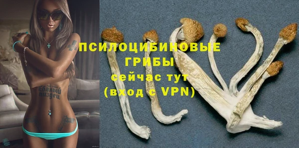 гидропоника Балахна