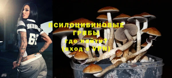 таблы Белокуриха