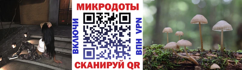 закладки  Бикин  Галлюциногенные грибы мухоморы 